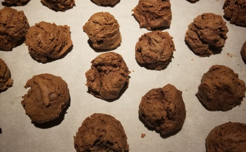 Chocolate cookies (“poop”)